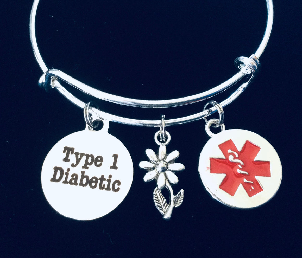 Type 1 Diabetic Charm Bracelet 