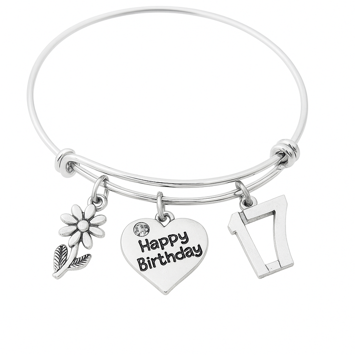 17th Birthday Charm Bracelet – Adjustable Silver Bangle with Birthday &amp; Number 17 Charms