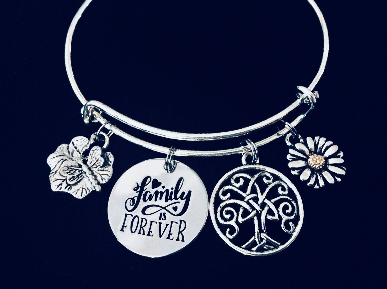 Family is Forever Expandable Charm Bracelet Tree of Life Dragonfly Jewelry 