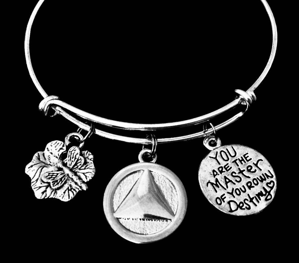 AA Recovery Jewelry Alcoholics Anonymous Charm Bracelet AA Recovery Gift for her