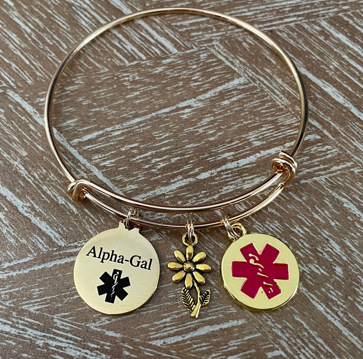 Alpha-Gal Awareness Medical Alert Charm Bangle Bracelet
