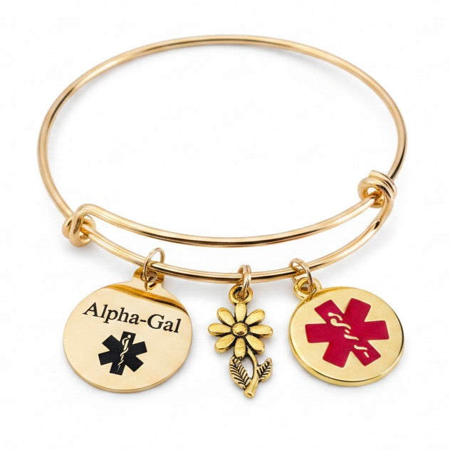 Alpha-Gal Awareness Medical Alert Charm Bangle Bracelet