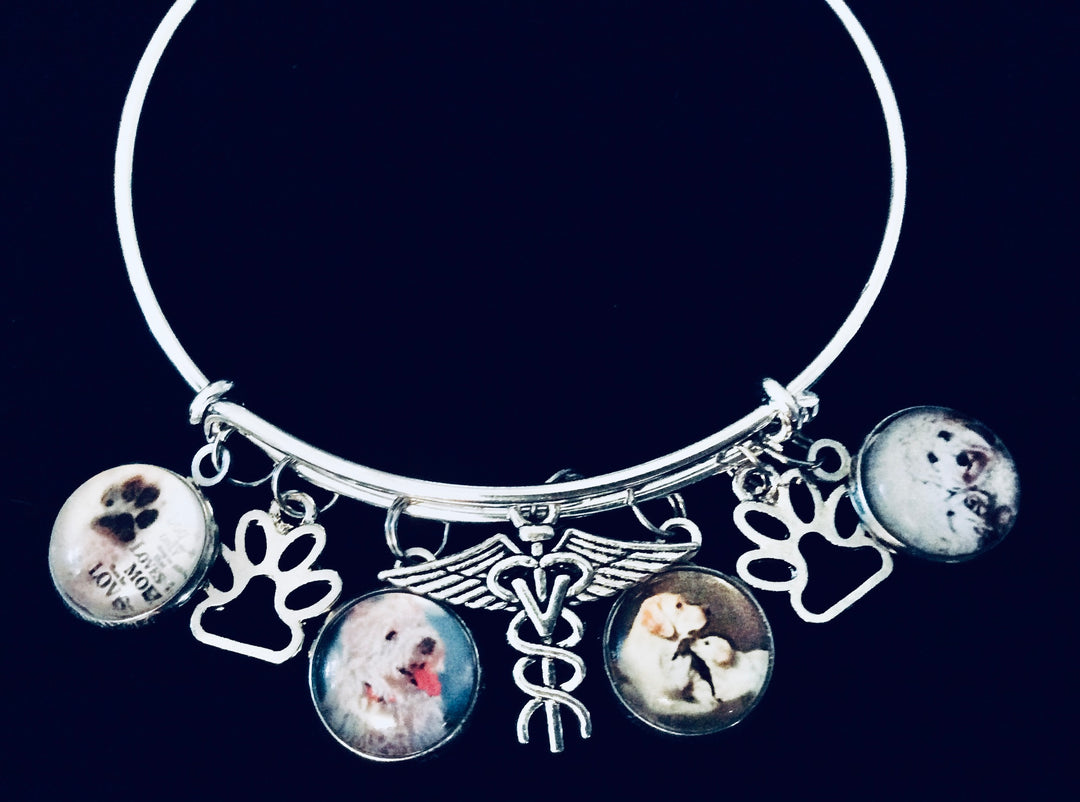 gifts for Veterinarians Gifts Women Vet Gift