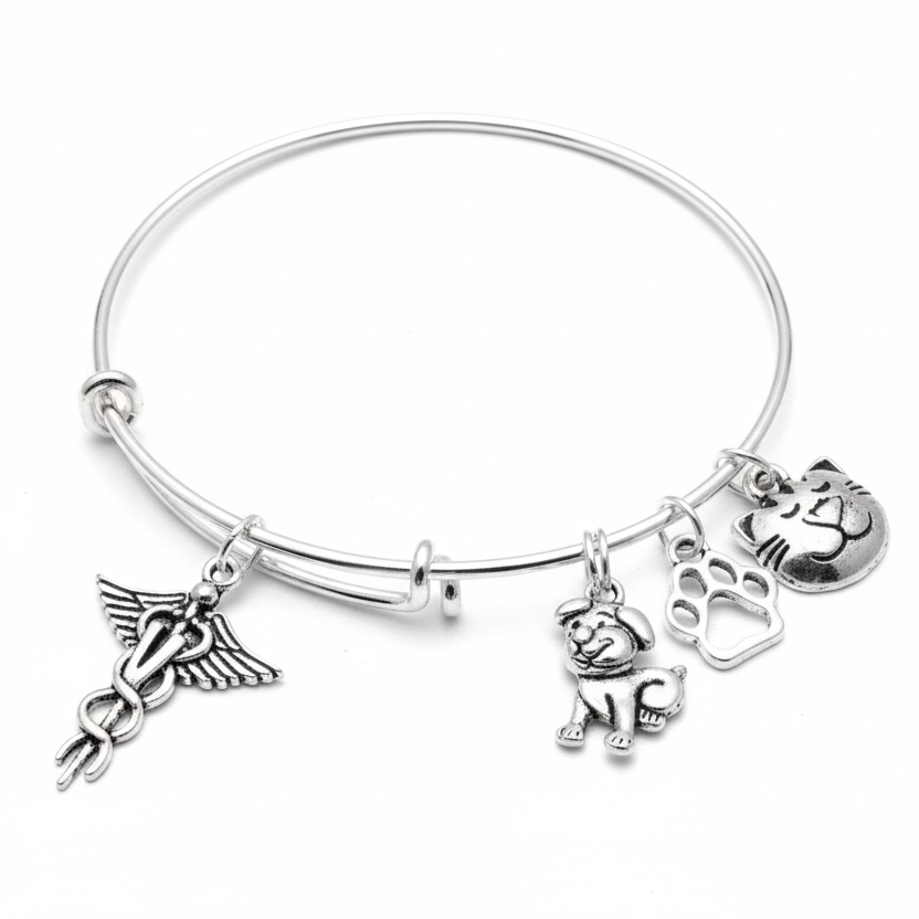 Veterinarian bracelet with caduceus dog cat paw charms on bright silver expandable bangle vet gift