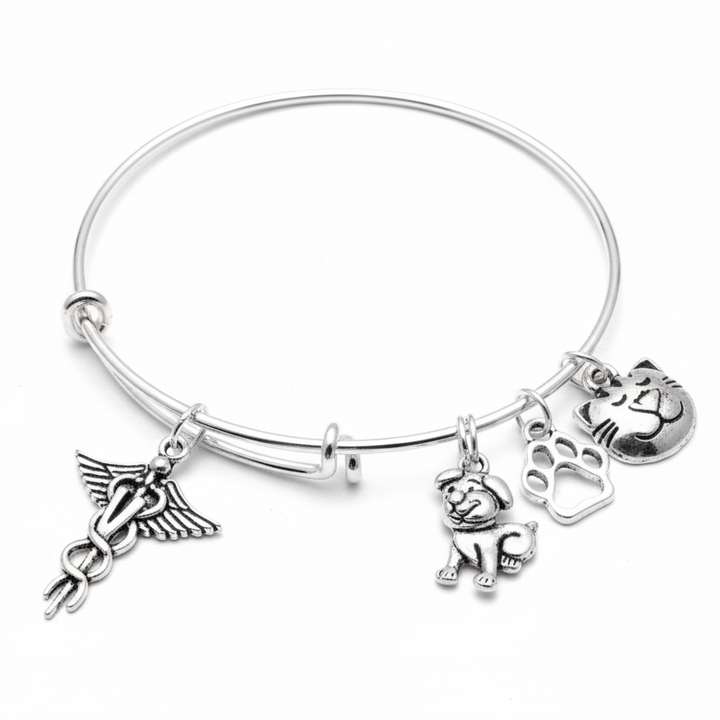 Veterinarian bracelet with caduceus dog cat paw charms on bright silver expandable bangle vet gift