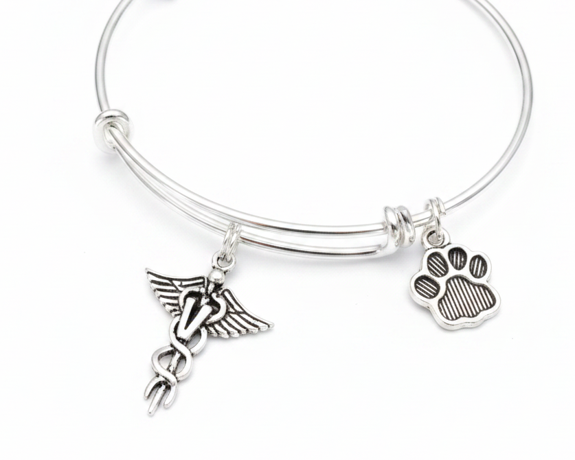 Silver expandable bangle bracelet with veterinary caduceus charm and paw print charm on white background – Jules Obsession veterinarian vet tech gift jewelry