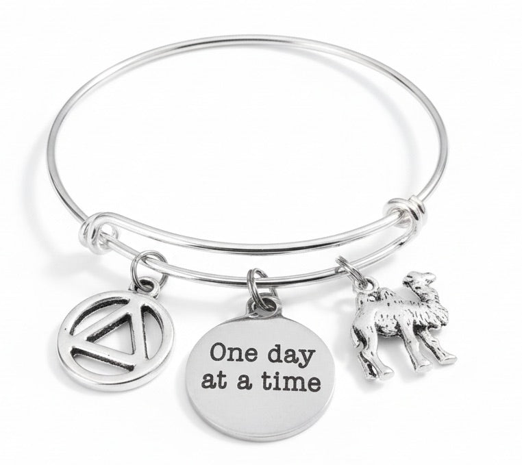 AA Recovery Bracelet | One Day at a Time Sobriety Gift | Camel Symbol Charm Bangle