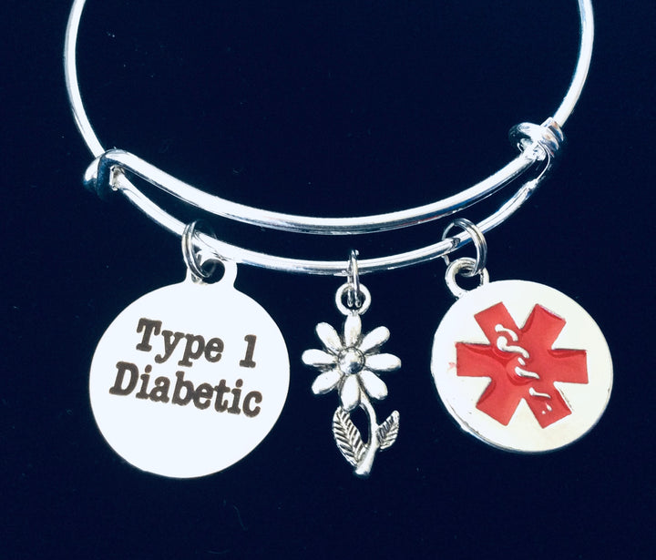 Type 1 Diabetic Charm Bracelet 