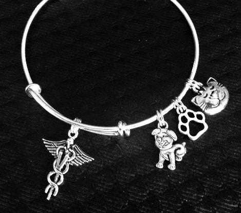 Veterinarian Bracelet – Vet Gift – Silver Expandable Bangle with Caduceus, Dog, Cat &amp; Paw Charms