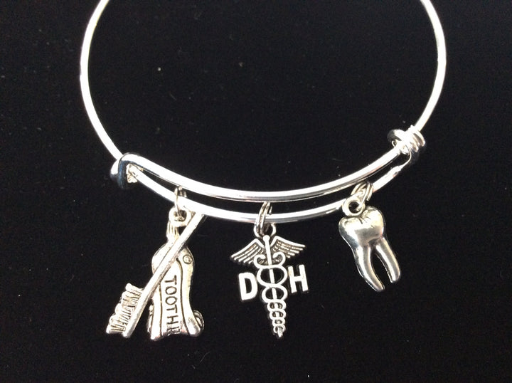 Dental Hygienist Charm Bracelet Gift for Dental Hygienist 
