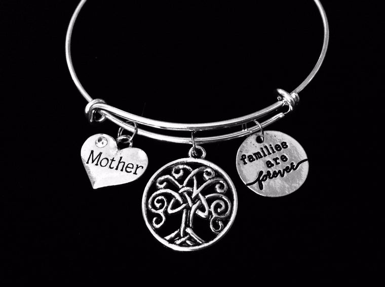 Families Are Forever Mother Mom Jewelry Adjustable Charm Bracelet Expandable Silver Bangle One Size Fits All Gift Inspirational Celtic Family Tree