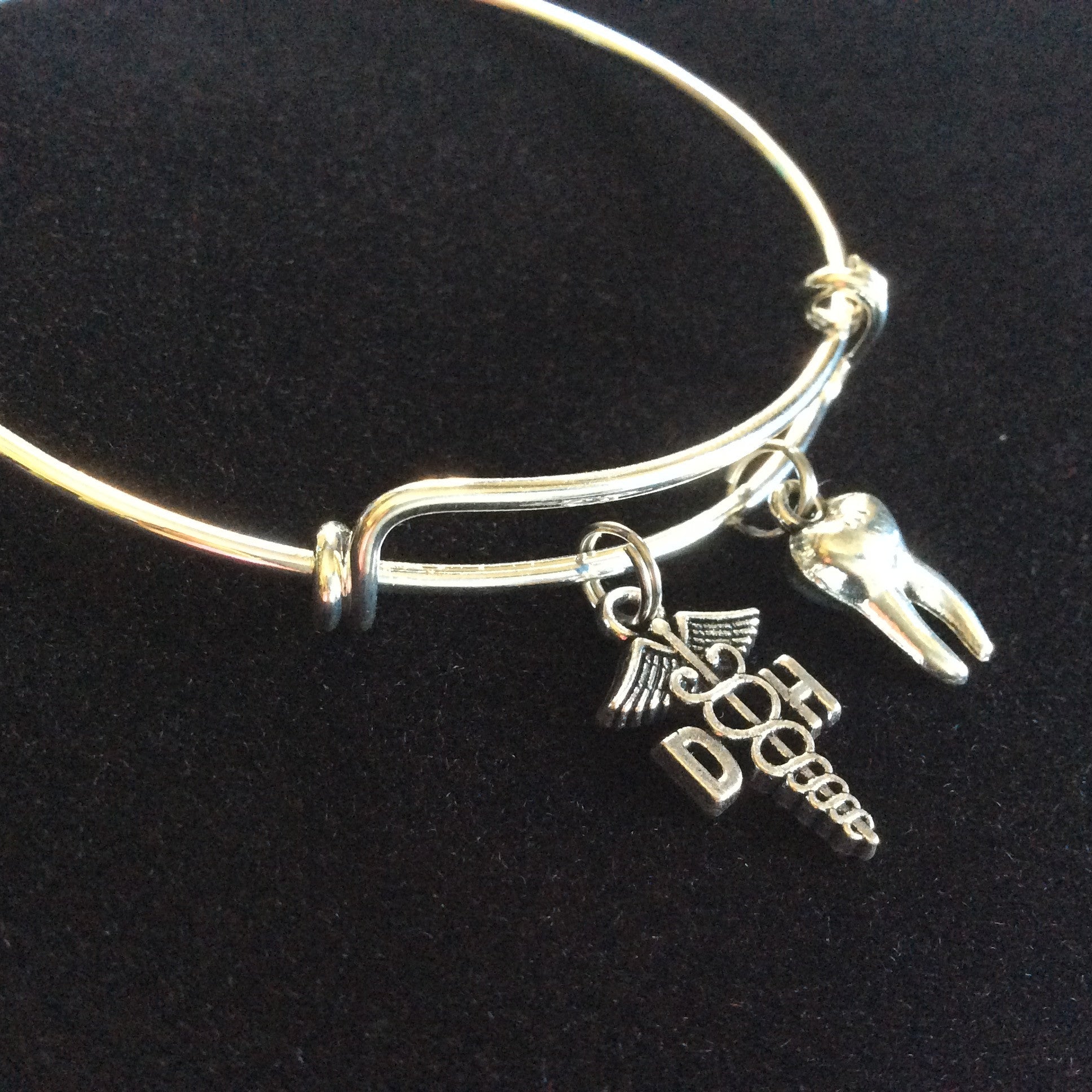 DH Dental Hygienist and 3D Silver Plated Tooth