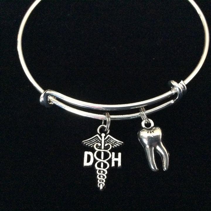 DH Dental Hygienist and 3D Silver Plated Tooth