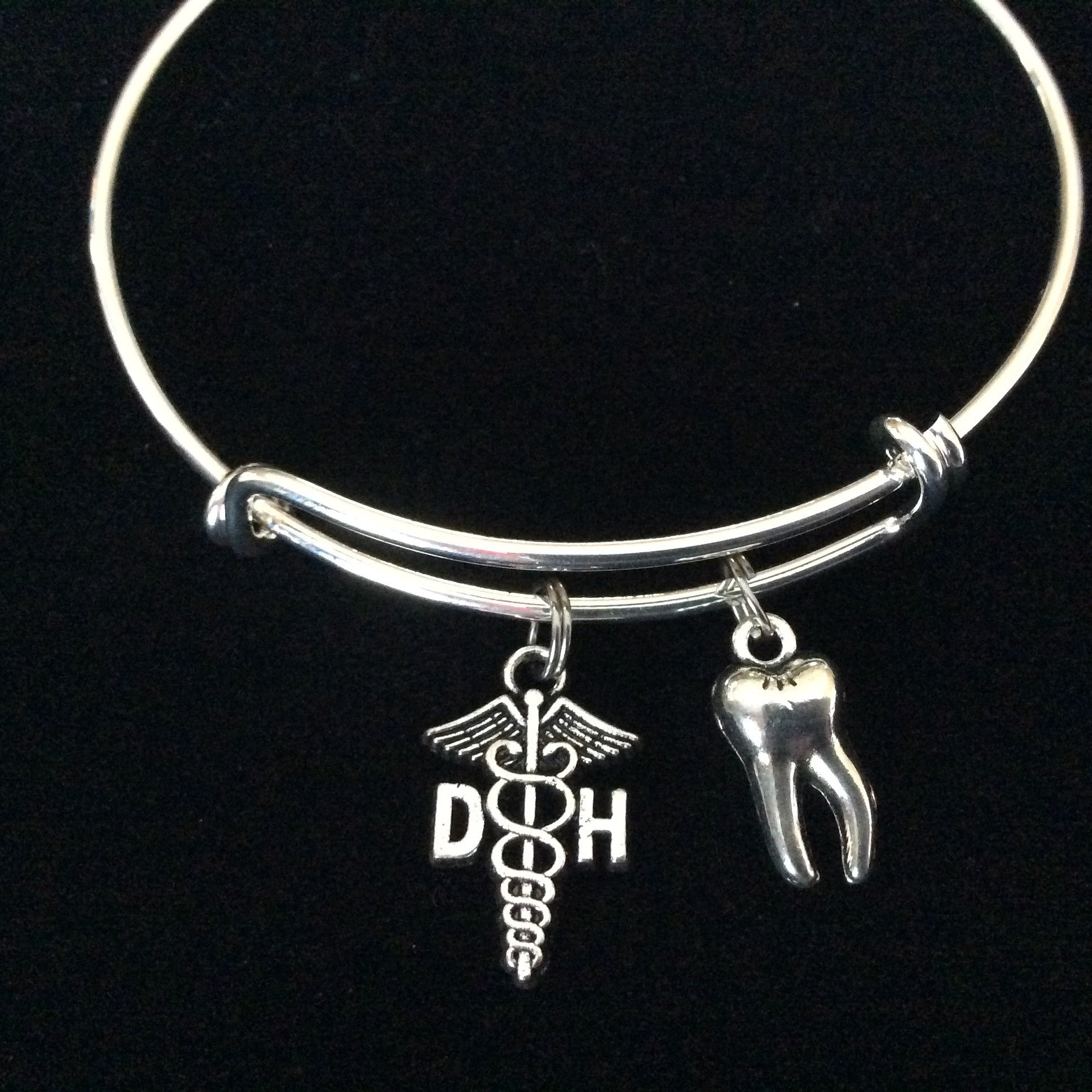 DH Dental Hygienist and 3D Silver Plated Tooth