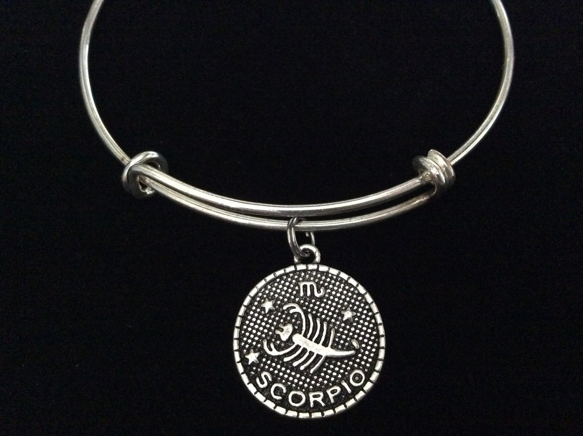 Zodiac Charm on Silver Expandable Adjustable Wire Bangle Bracelet 