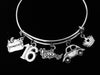 Happy 16th Birthday 16 Year Birthday Charm Bracelet Silver Expandable Adjustable Bangle Sweet 16 Car Make-up Princess Teen Girl Gift