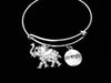 Crystal Elephant Strength Expandable Charm Bracelet Silver Adjustable Wire Bangle Trendy One Size Fits All Gift Inspirational Gift