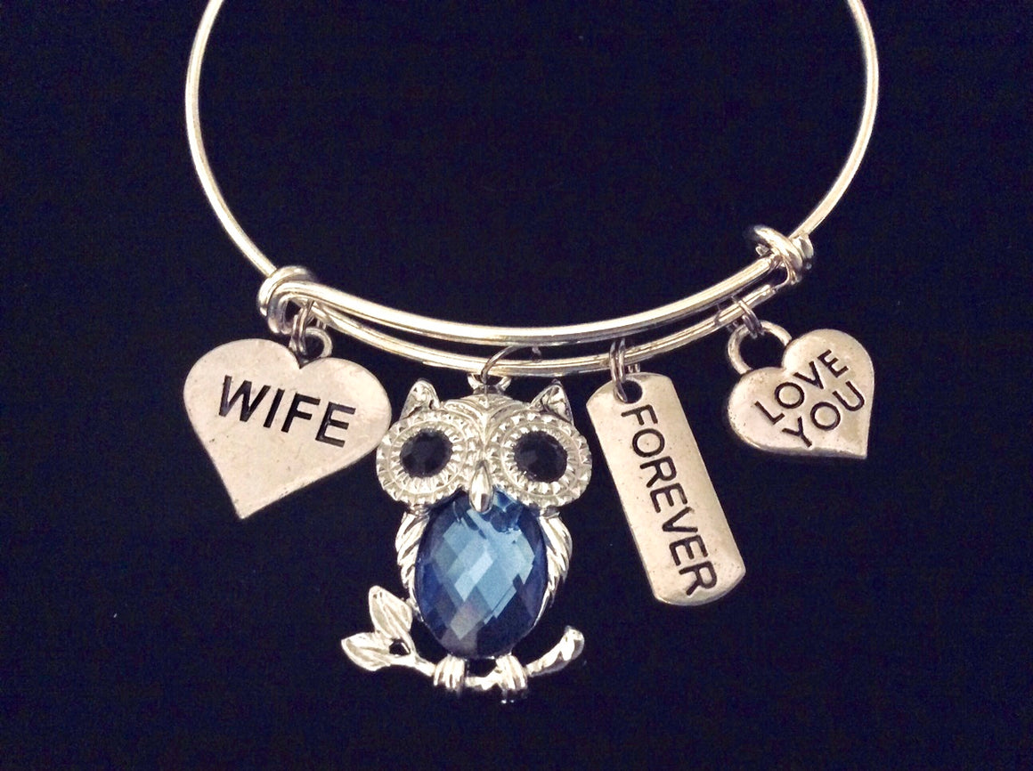 Wife Owl Forever Love You Expandable Charm Bracelet Silver Adjustable Bangle One Size Fits All Gift Blue Crystal Owl