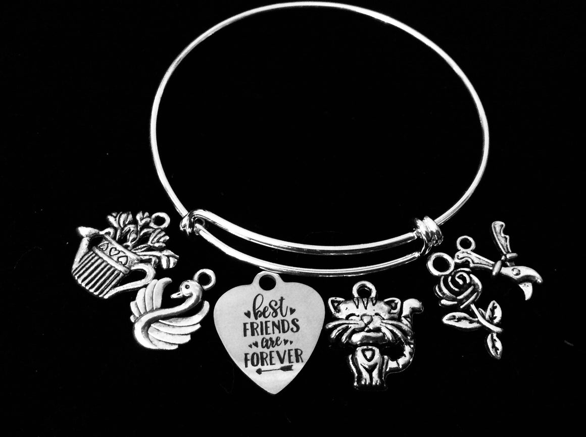 Best Friends are Forever Expandable Charm Bracelet Silver Adjustable Bangle One Size Fits All Gift