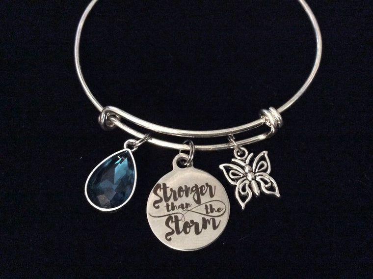 Stronger Than the Storm Adjustable Bracelet Silver Expandable Charm Bracelet Bangle Butterfly Blue Crystal Gift
