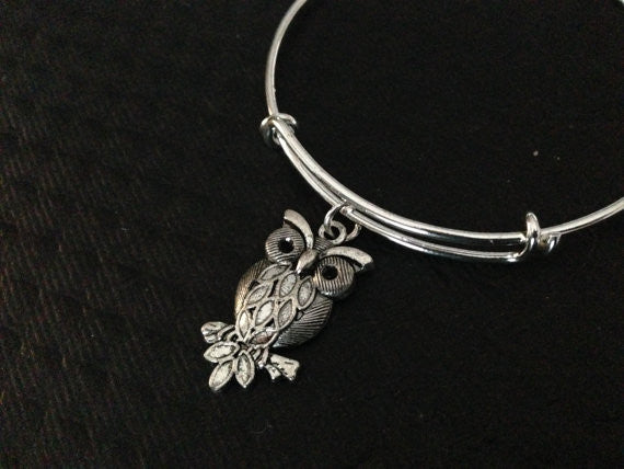Silver Owl Charm on a Silver Expandable Wire Bangle